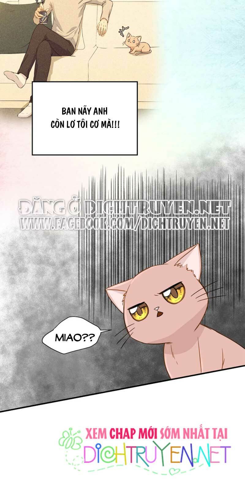Cuộc sống kỳ thú: Chapter 3