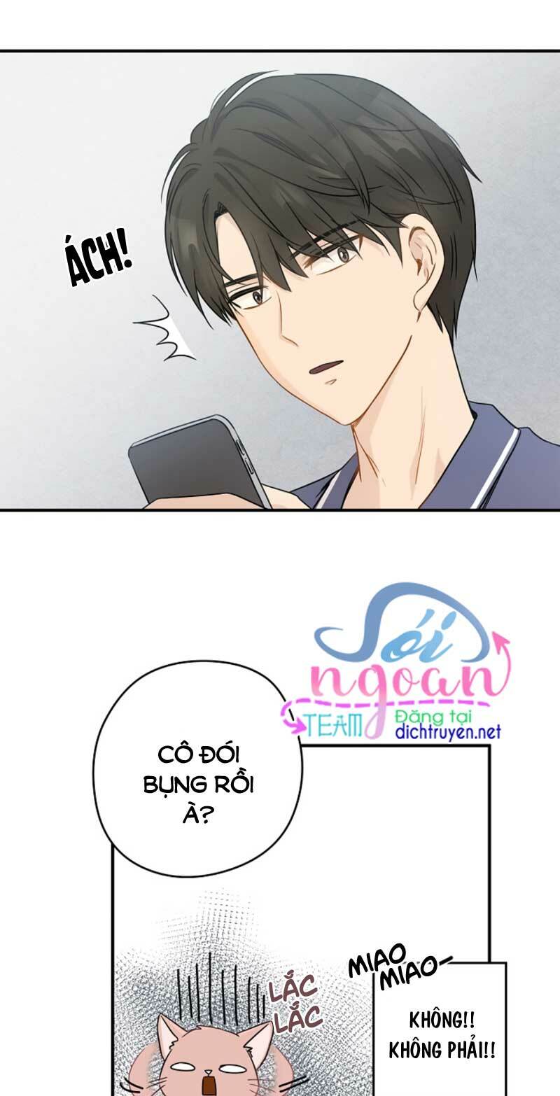 Cuộc sống kỳ thú: Chapter 3