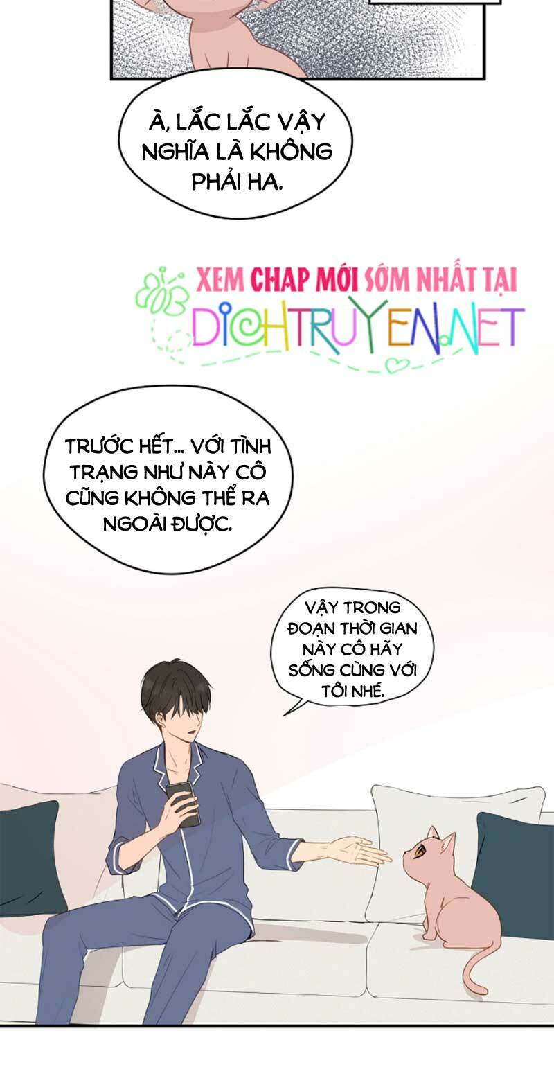 Cuộc sống kỳ thú: Chapter 3