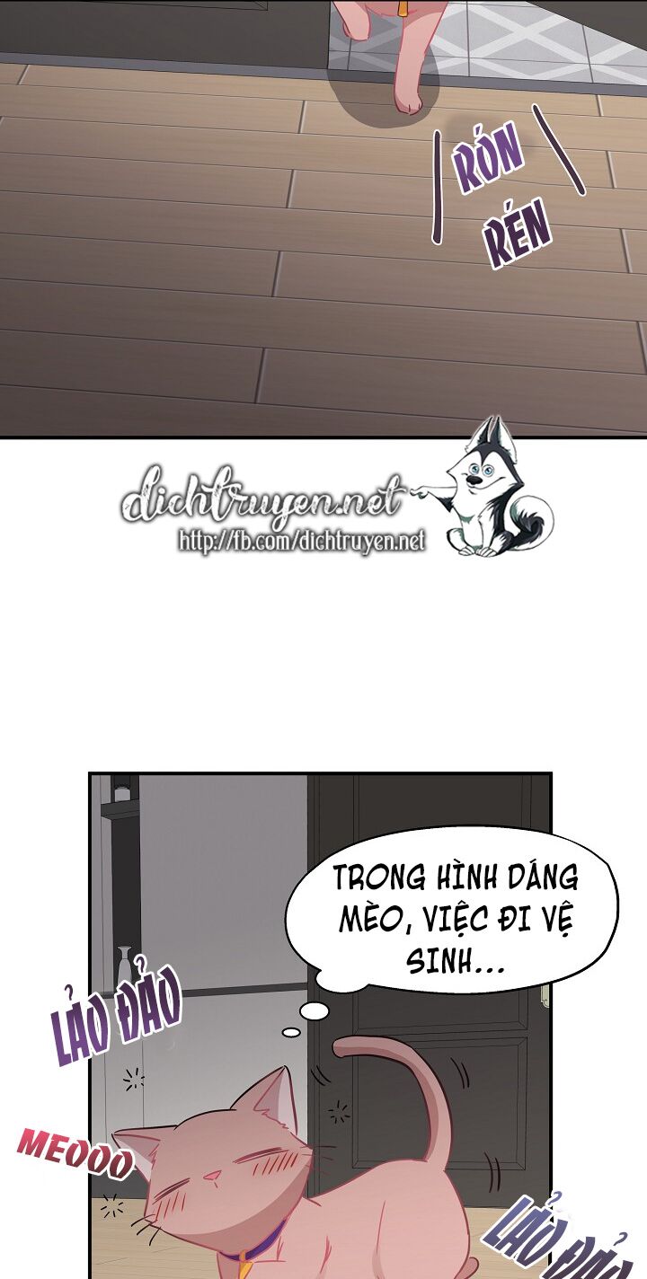 Cuộc sống kỳ thú: Chapter 35