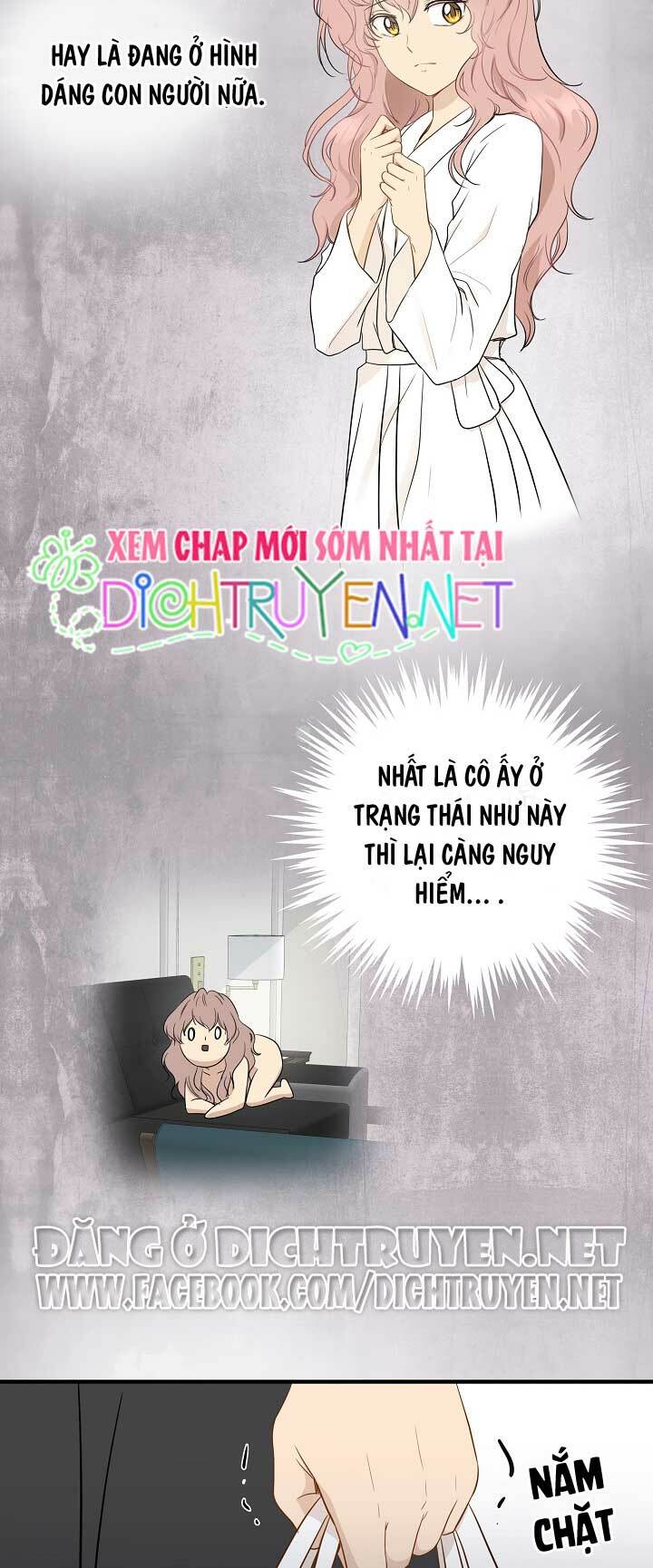 Cuộc sống kỳ thú: Chapter 4