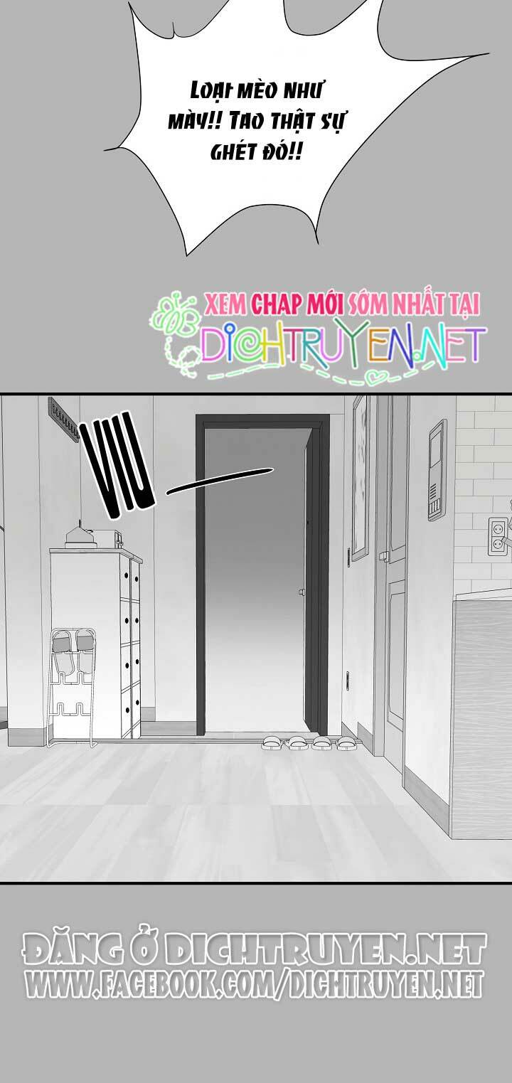 Cuộc sống kỳ thú: Chapter 4