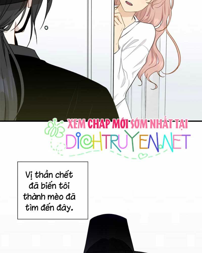 Cuộc sống kỳ thú: Chapter 5