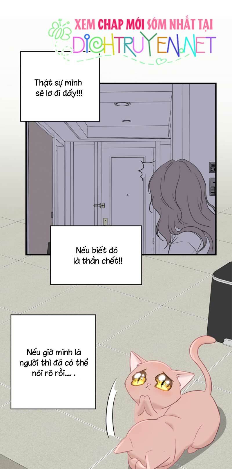 Cuộc sống kỳ thú: Chapter 5