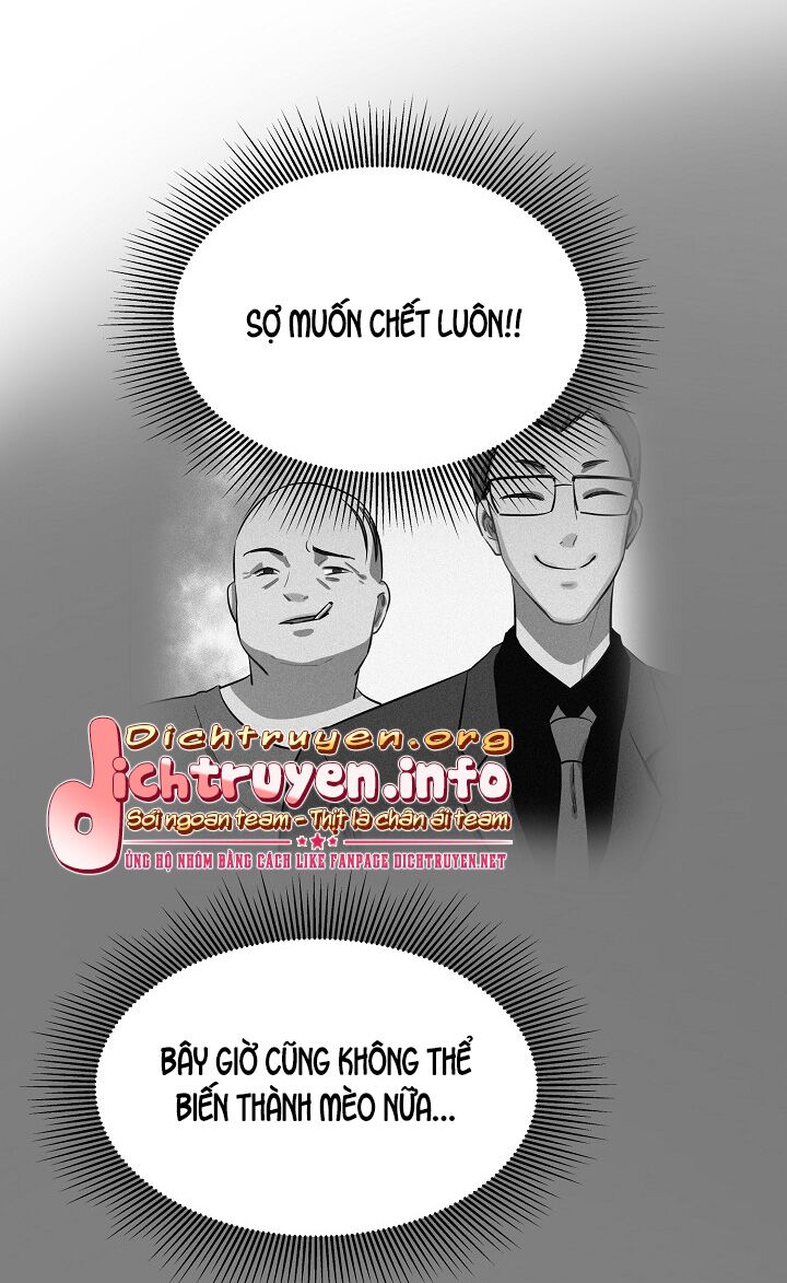Cuộc sống kỳ thú: Chapter 51