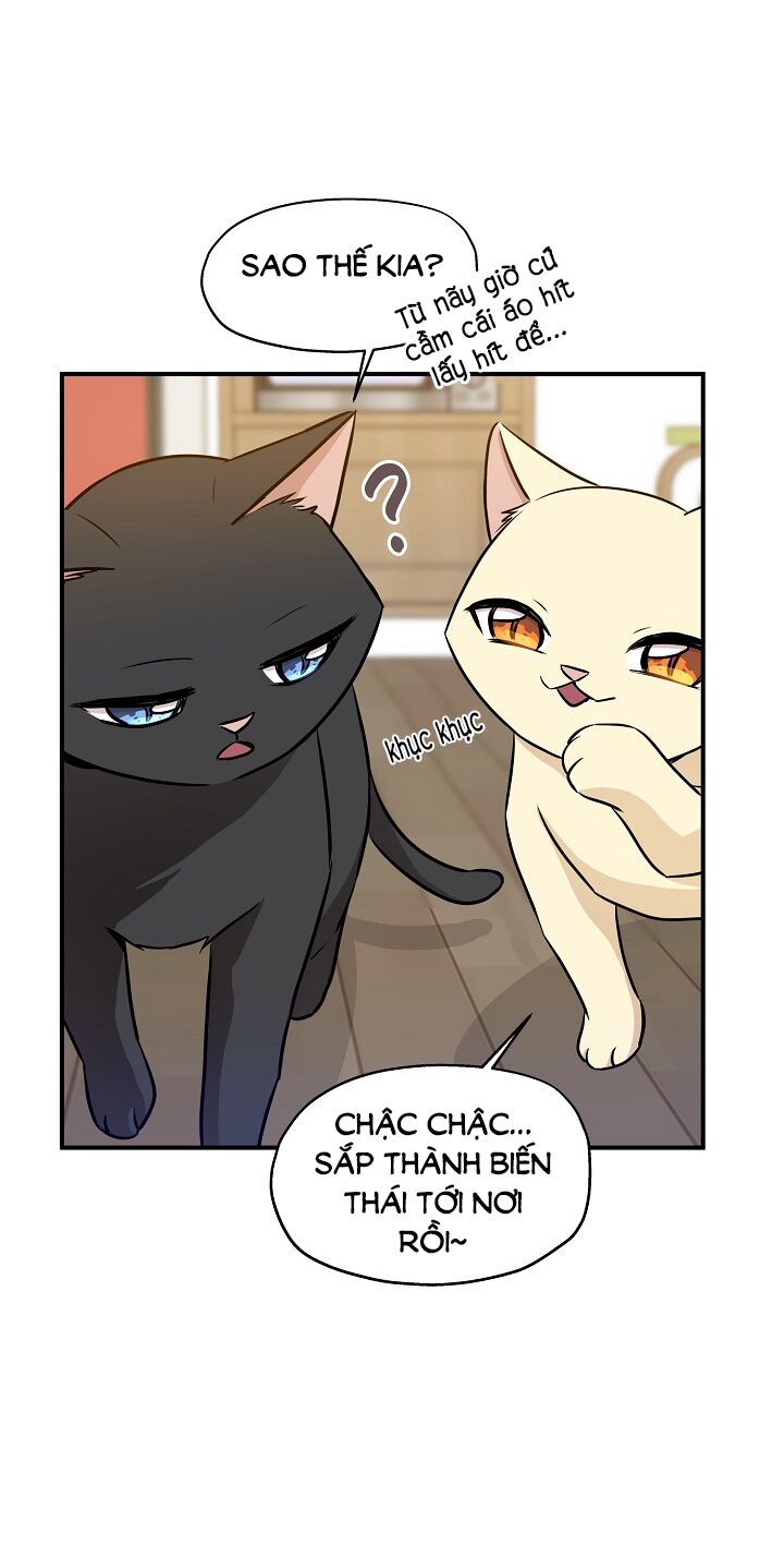 Cuộc sống kỳ thú: Chapter 58