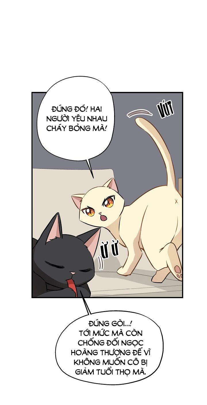Cuộc sống kỳ thú: Chapter 58