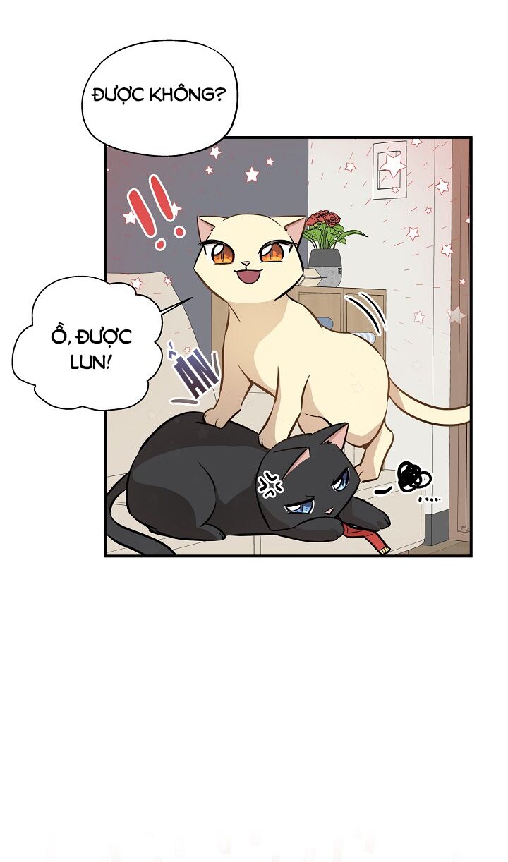 Cuộc sống kỳ thú: Chapter 58