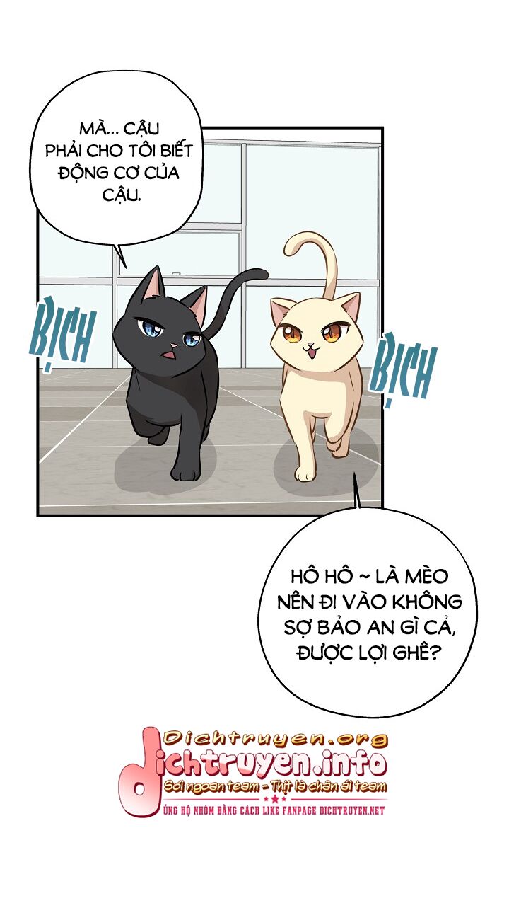 Cuộc sống kỳ thú: Chapter 58
