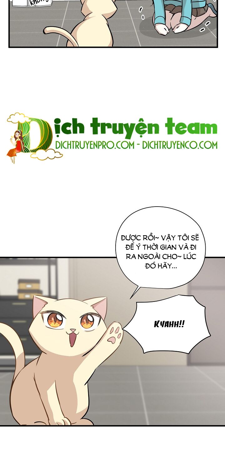Cuộc sống kỳ thú: Chapter 64