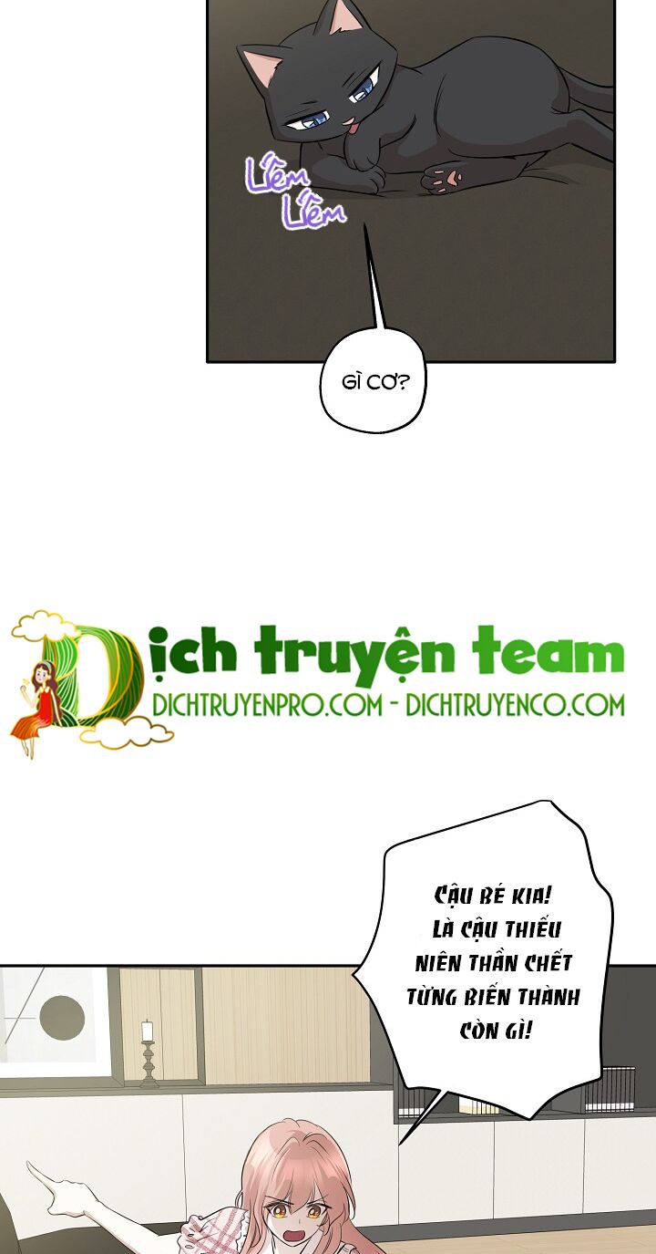 Cuộc sống kỳ thú: Chapter 67