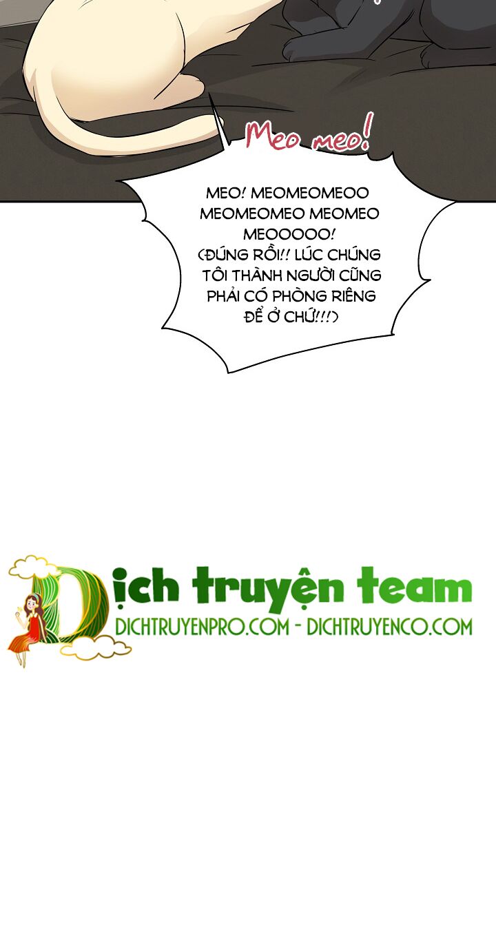 Cuộc sống kỳ thú: Chapter 67