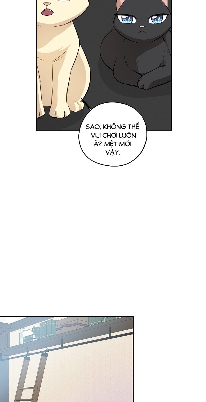 Cuộc sống kỳ thú: Chapter 69