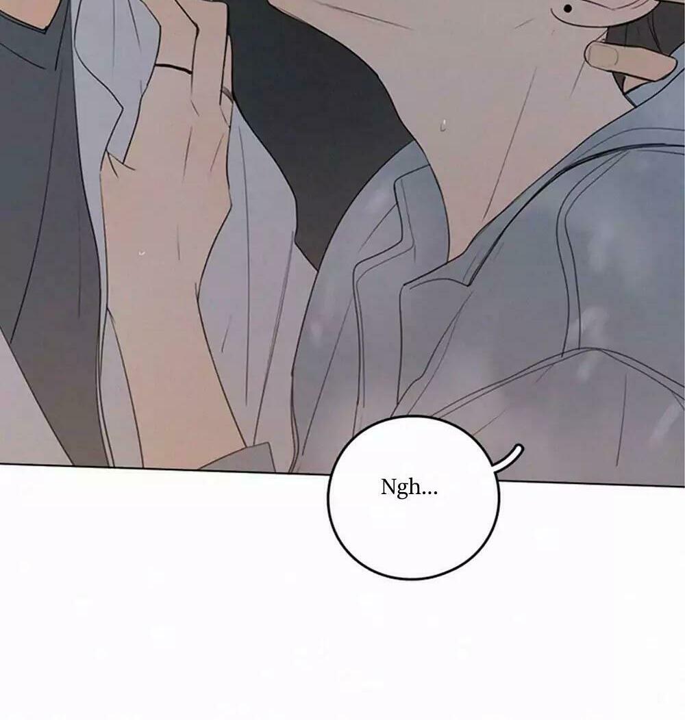 Here U Are: Chapter 36