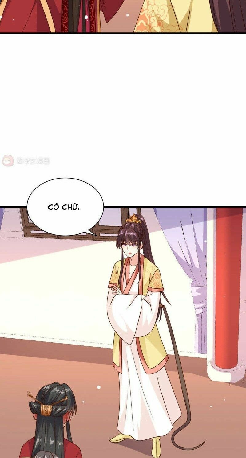 Đích Nữ Kiều Phi: Chapter 35