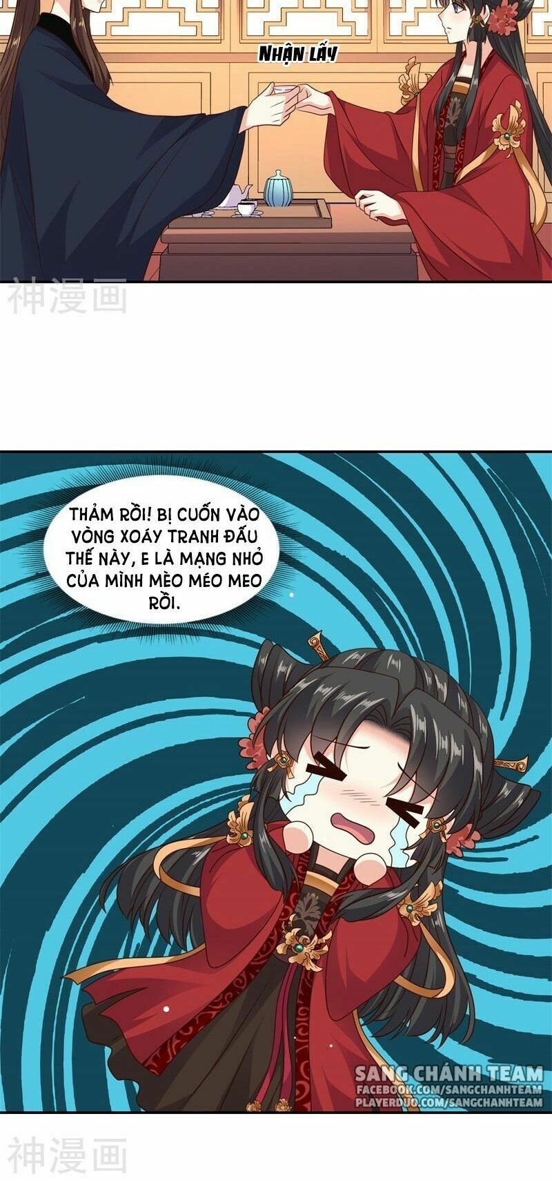 Đích Nữ Kiều Phi: Chapter 41
