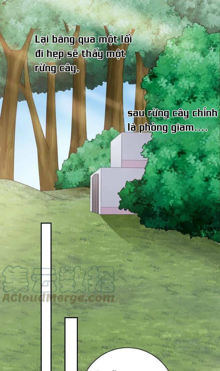 Ngạo Kiều Vương Gia Huyên Náo Phi: Chapter 65