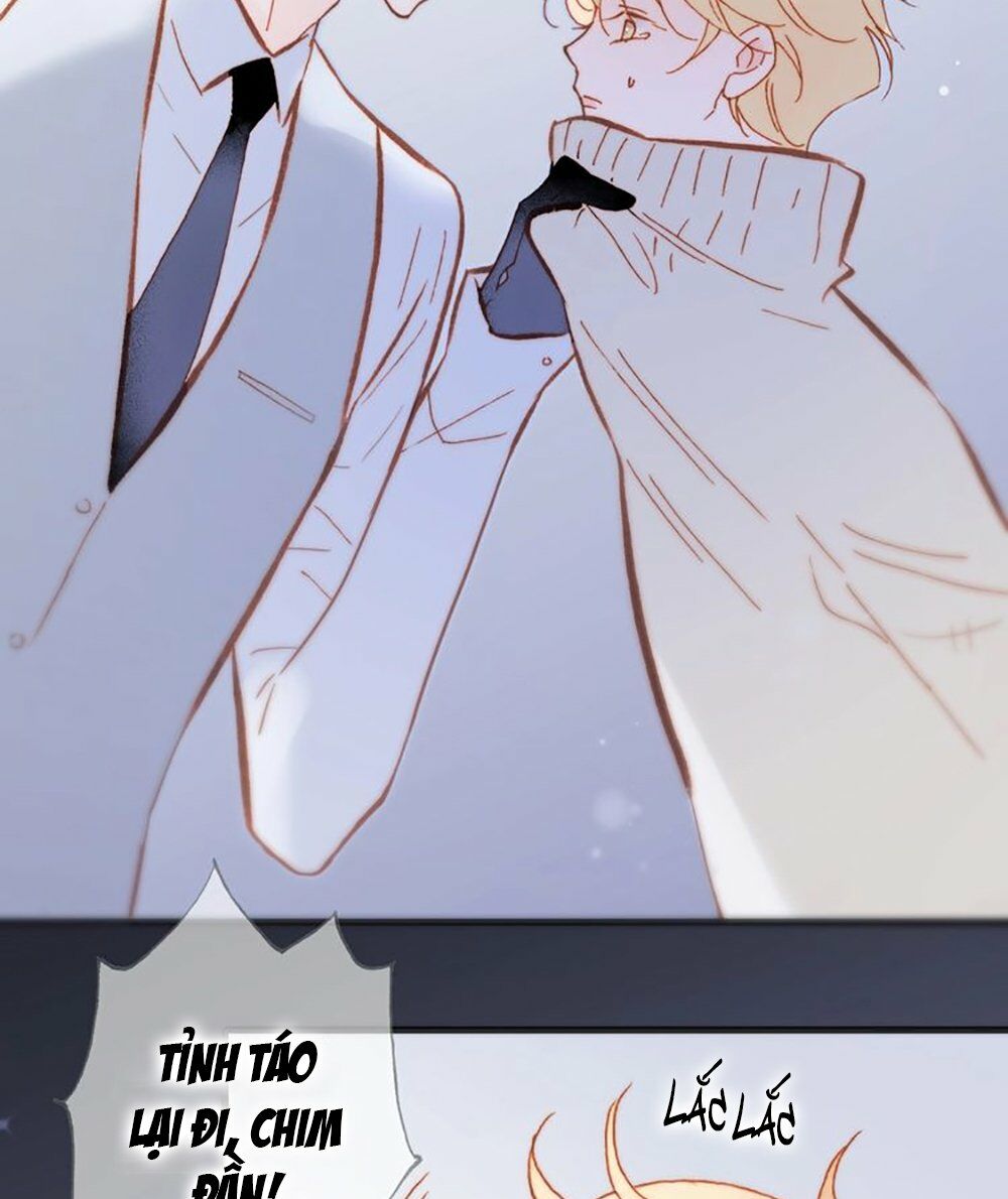 Tiếng Đàn Lặng Câm Giữa Lòng Vũ Trụ: Chapter 59