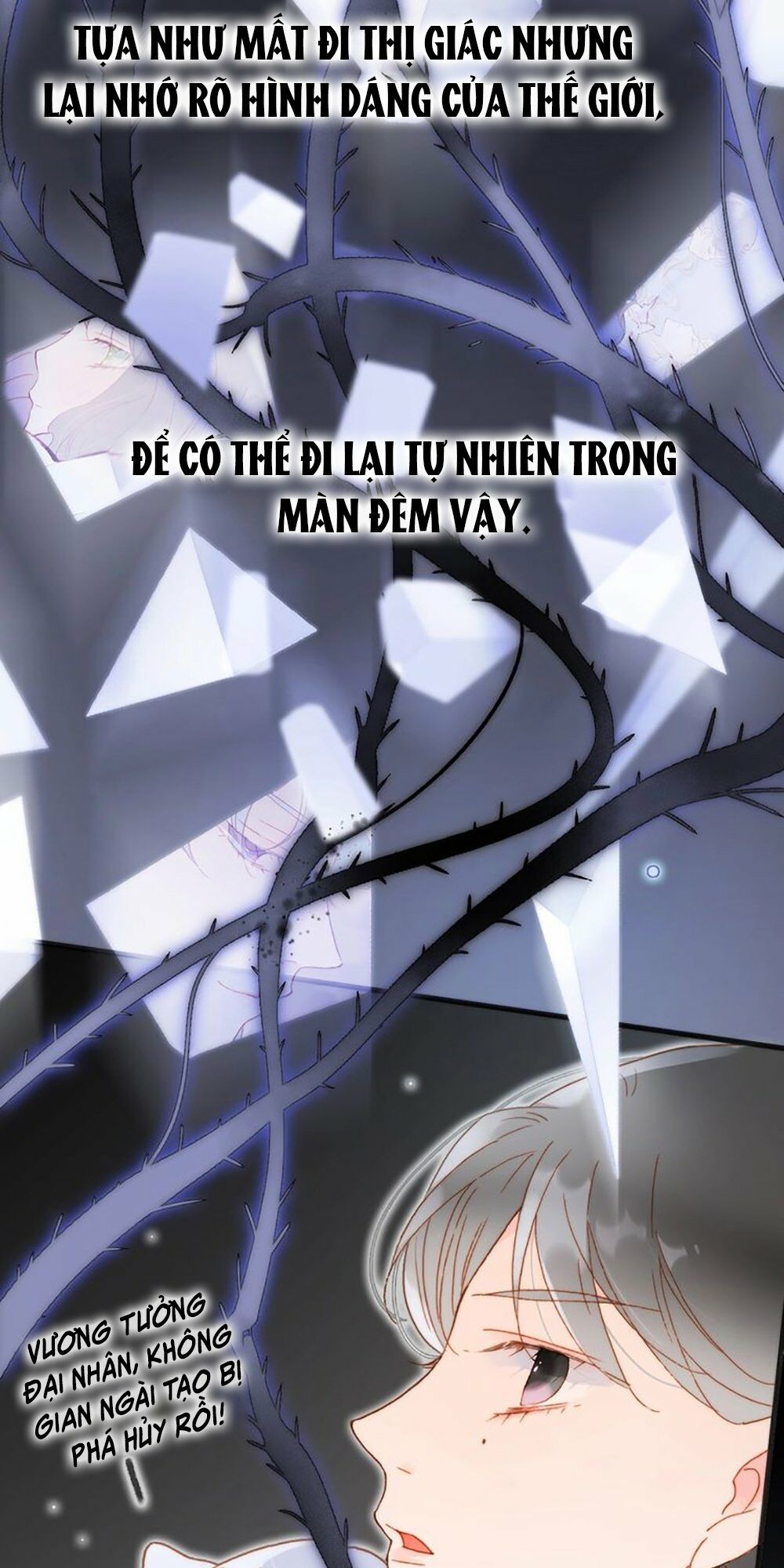 Tiếng Đàn Lặng Câm Giữa Lòng Vũ Trụ: Chapter 62