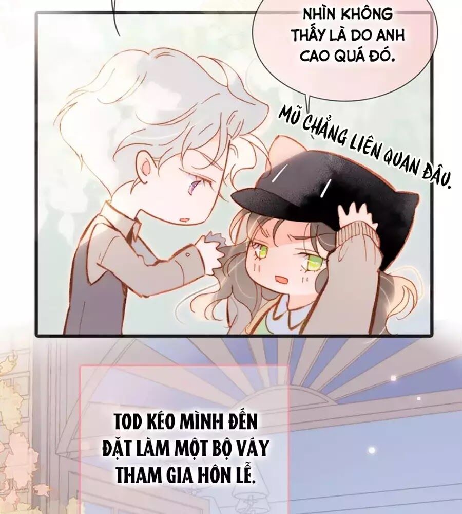Tiếng Đàn Lặng Câm Giữa Lòng Vũ Trụ: Chapter 79