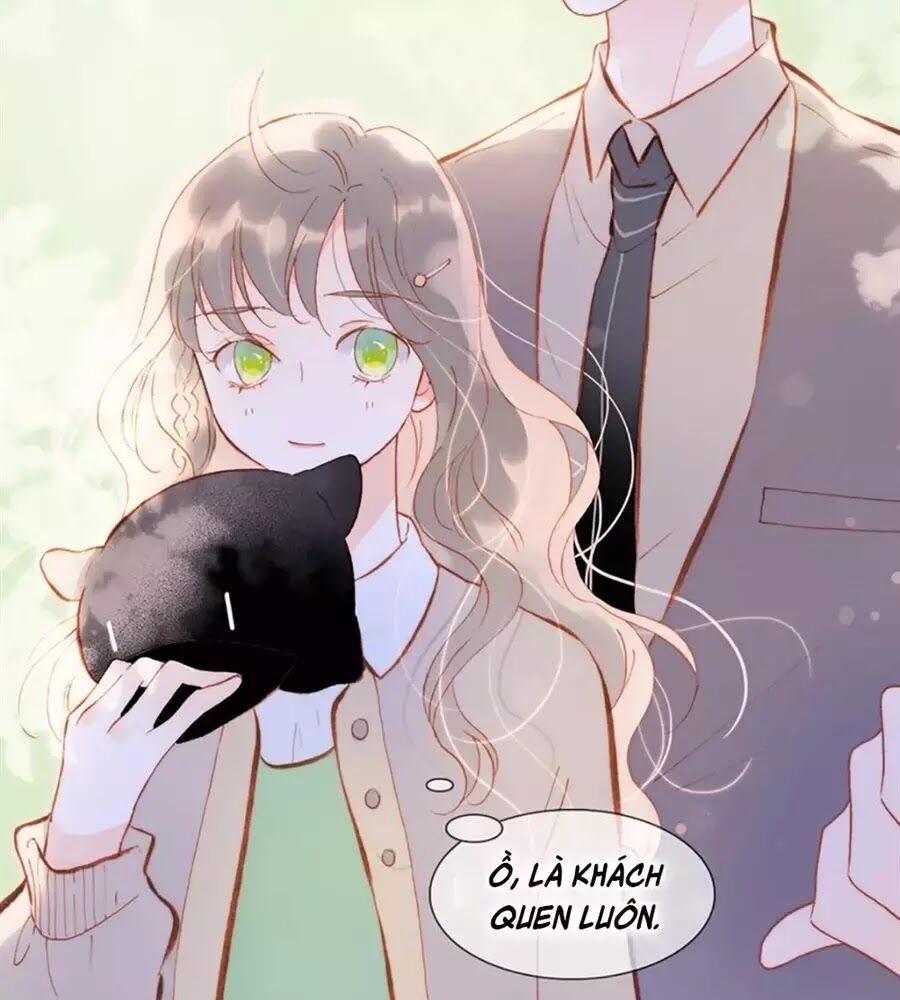 Tiếng Đàn Lặng Câm Giữa Lòng Vũ Trụ: Chapter 79
