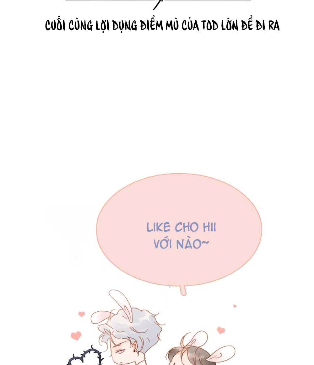 Tiếng Đàn Lặng Câm Giữa Lòng Vũ Trụ: Chapter 87