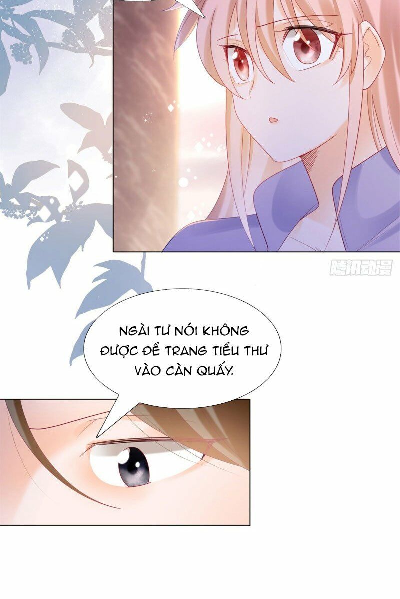 1000 Tư Thế Cưa Đổ Tổng Tài: Chapter 158