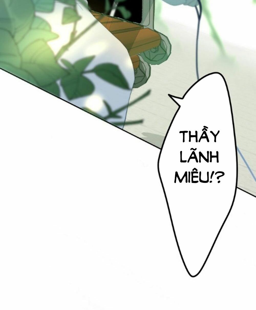 Tháng Sáu Không Hẹn Mà Gặp: Chapter 41