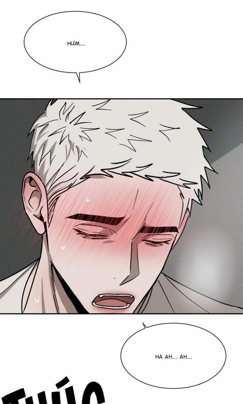 Tên Lưu Ban: Chapter 55: Ngoại truyện 8
