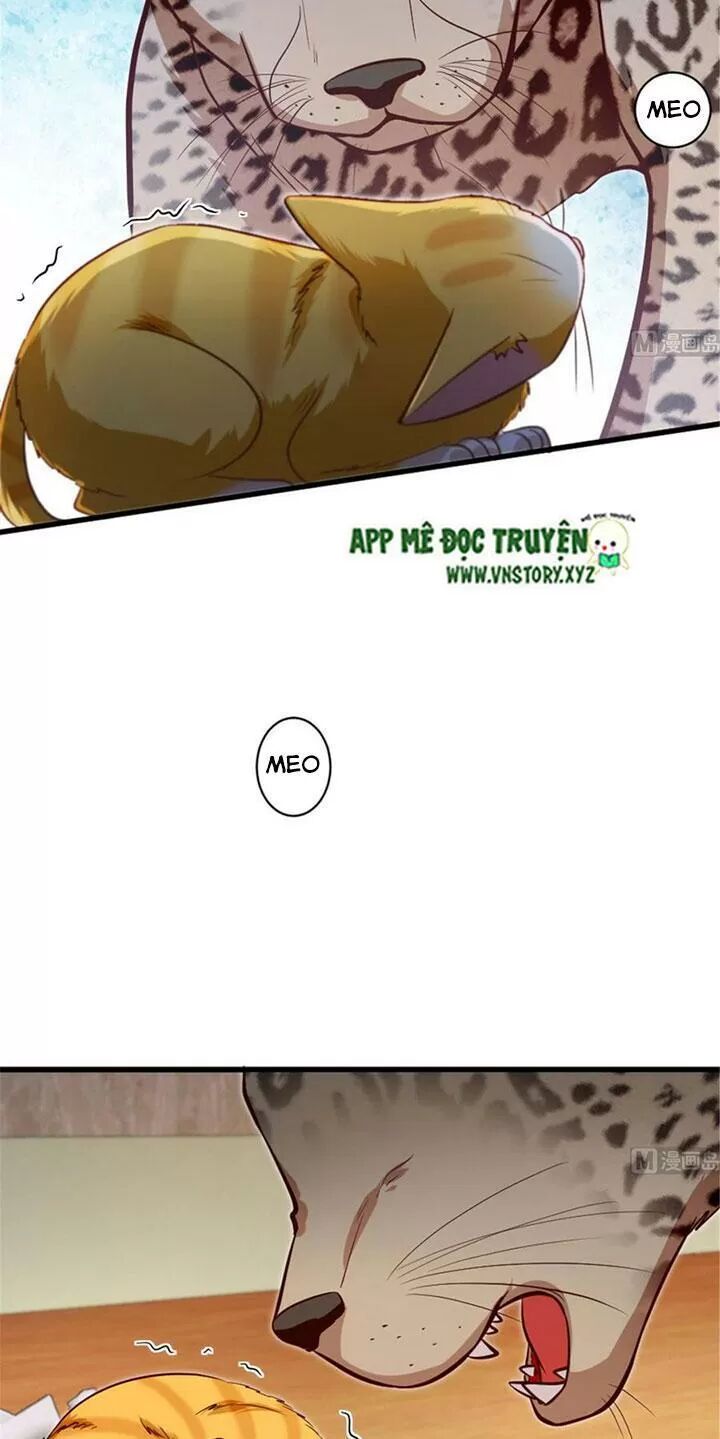 Thiên hậu trở về: Chapter 186