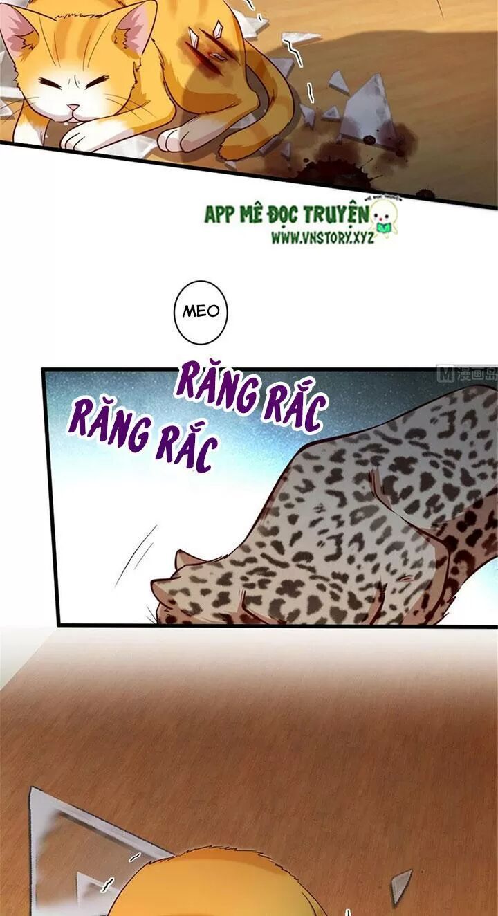 Thiên hậu trở về: Chapter 186