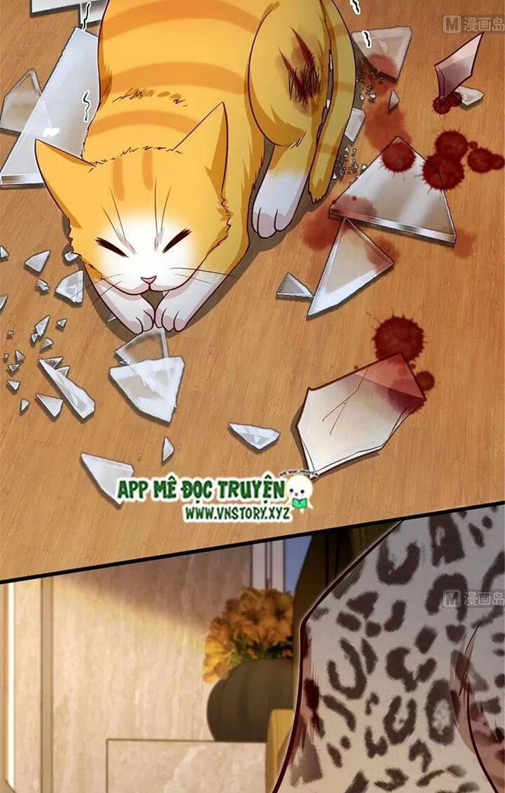 Thiên hậu trở về: Chapter 186