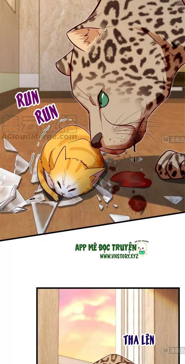 Thiên hậu trở về: Chapter 186