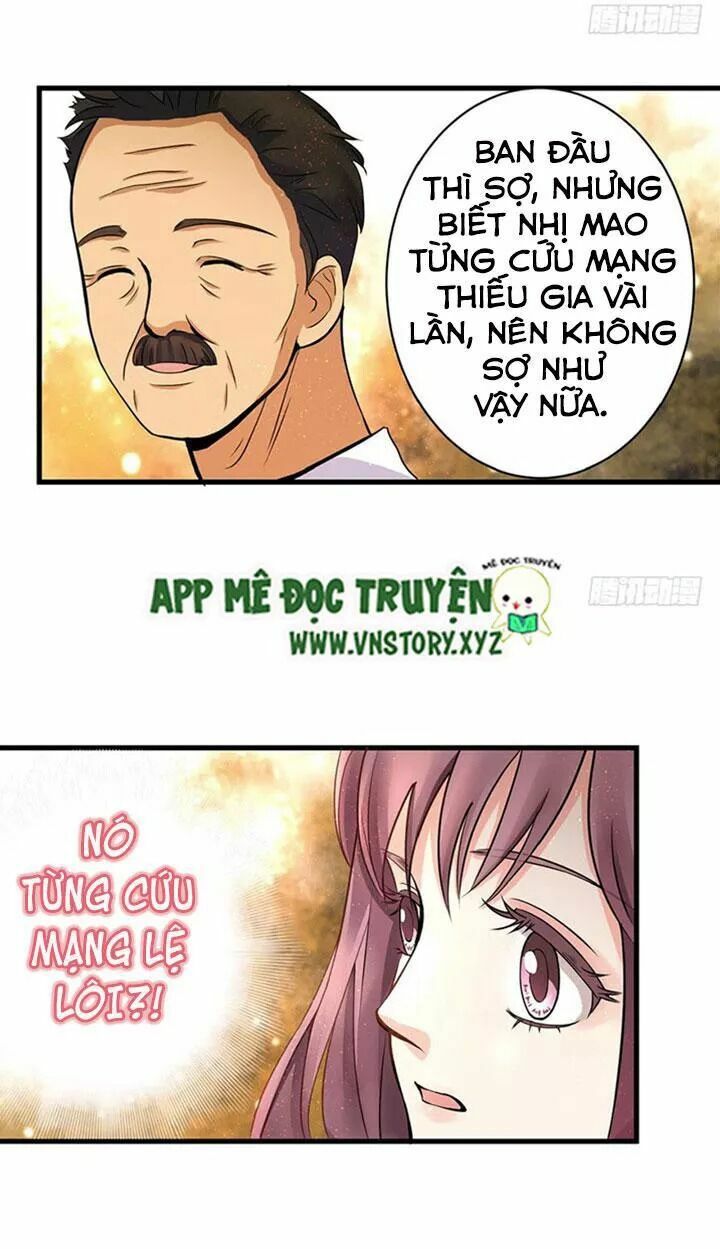 Thiên hậu trở về: Chapter 19