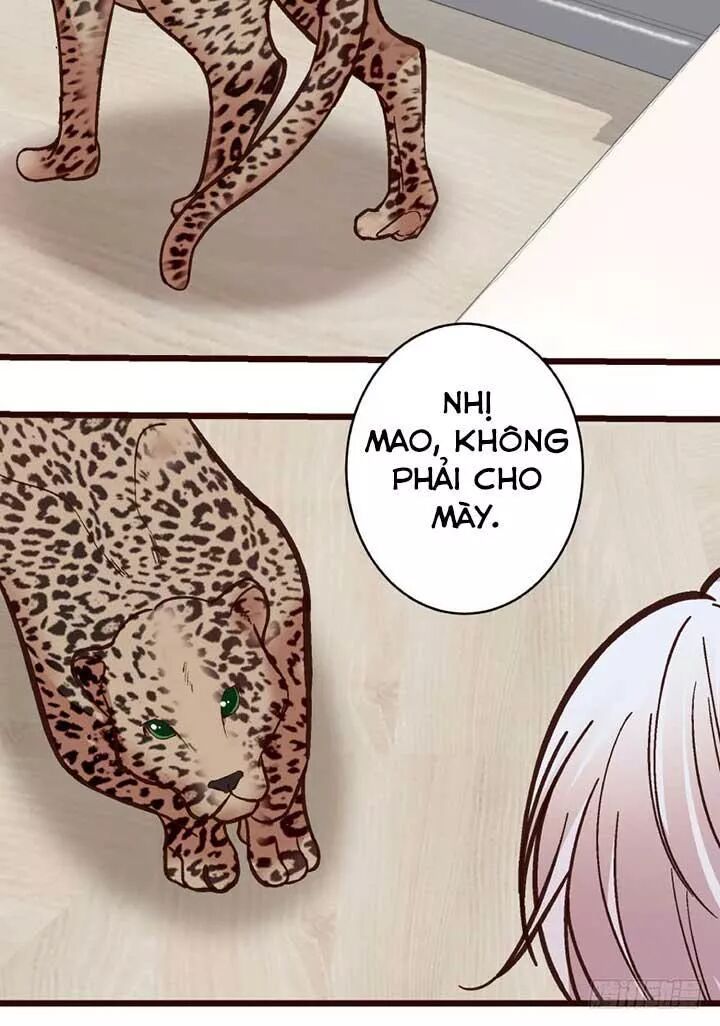 Thiên hậu trở về: Chapter 35: Sữa bò này là để cho thú cưng uống