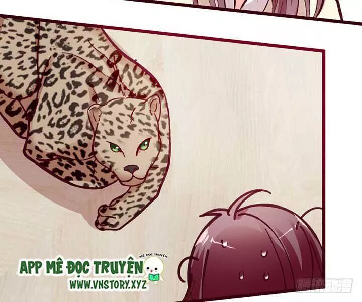 Thiên hậu trở về: Chapter 35: Sữa bò này là để cho thú cưng uống