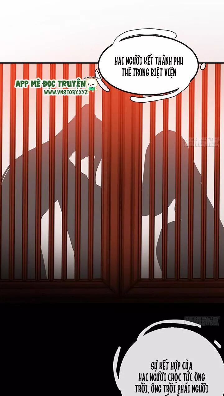 Cẩm Lý thiếu nữ của tôi: Chapter 115