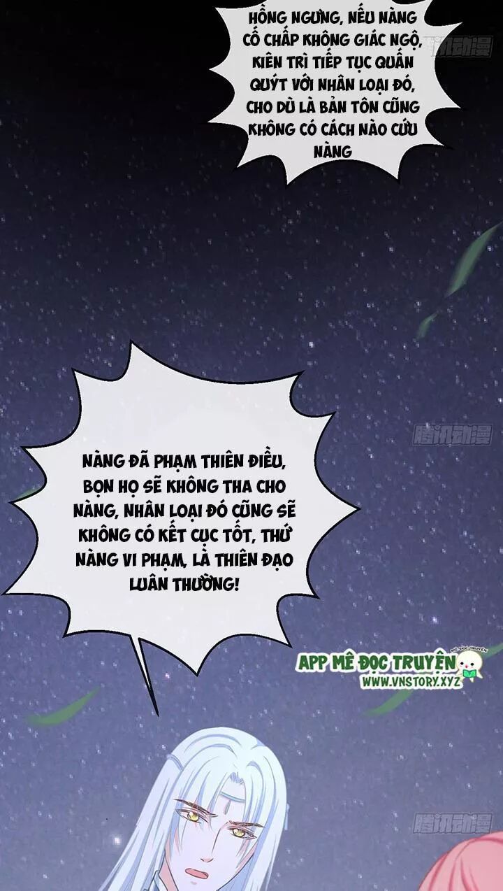Cẩm Lý thiếu nữ của tôi: Chapter 115