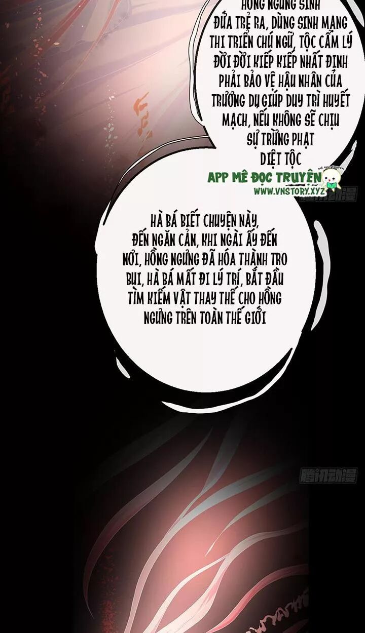 Cẩm Lý thiếu nữ của tôi: Chapter 115