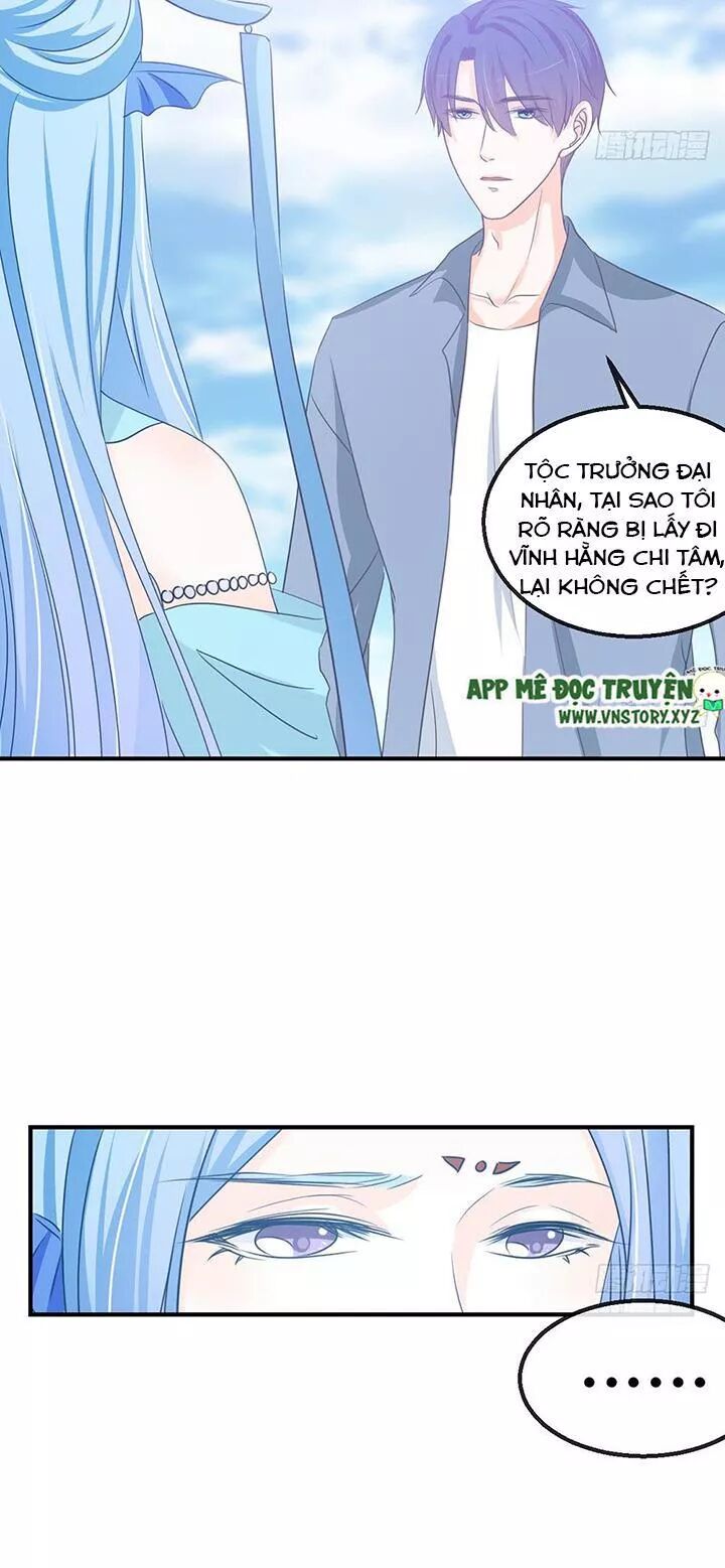 Cẩm Lý thiếu nữ của tôi: Chapter 116