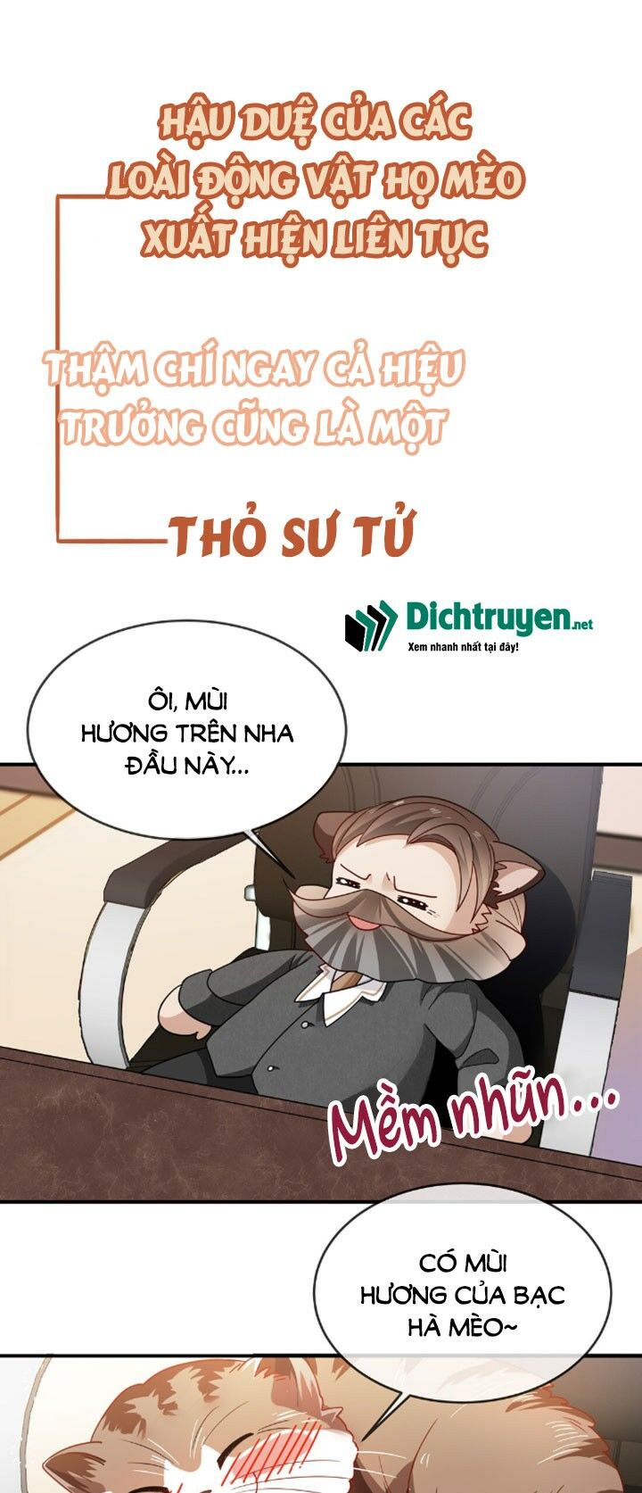Em là bạc hà mèo của tôi: Chapter 0