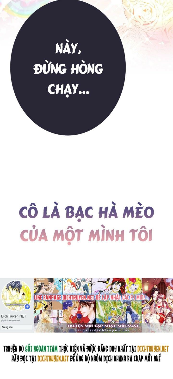 Em là bạc hà mèo của tôi: Chapter 0