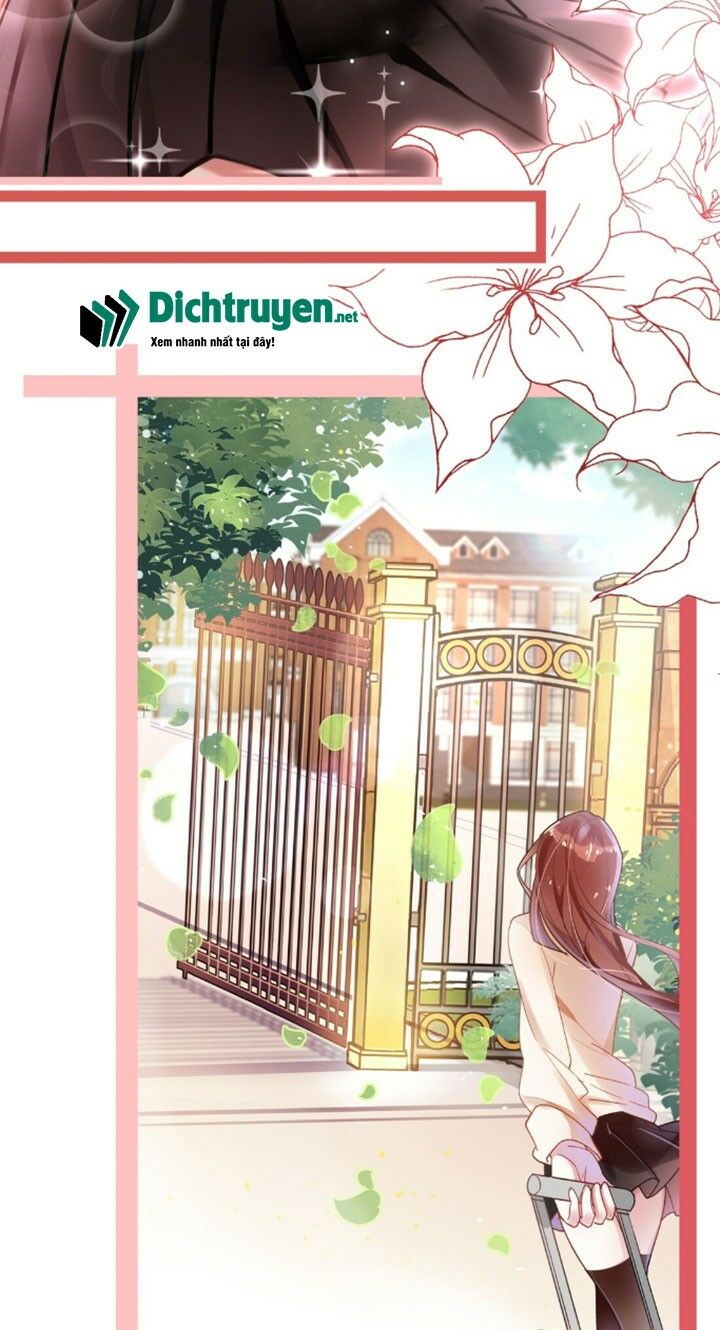 Em là bạc hà mèo của tôi: Chapter 0
