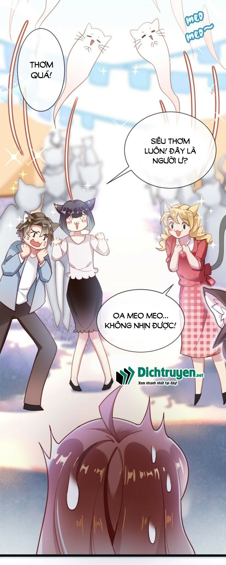 Em là bạc hà mèo của tôi: Chapter 0
