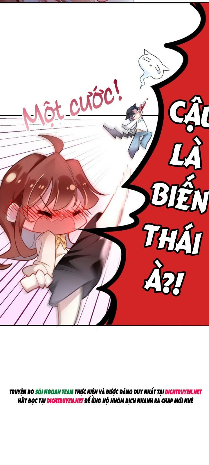Em là bạc hà mèo của tôi: Chapter 1