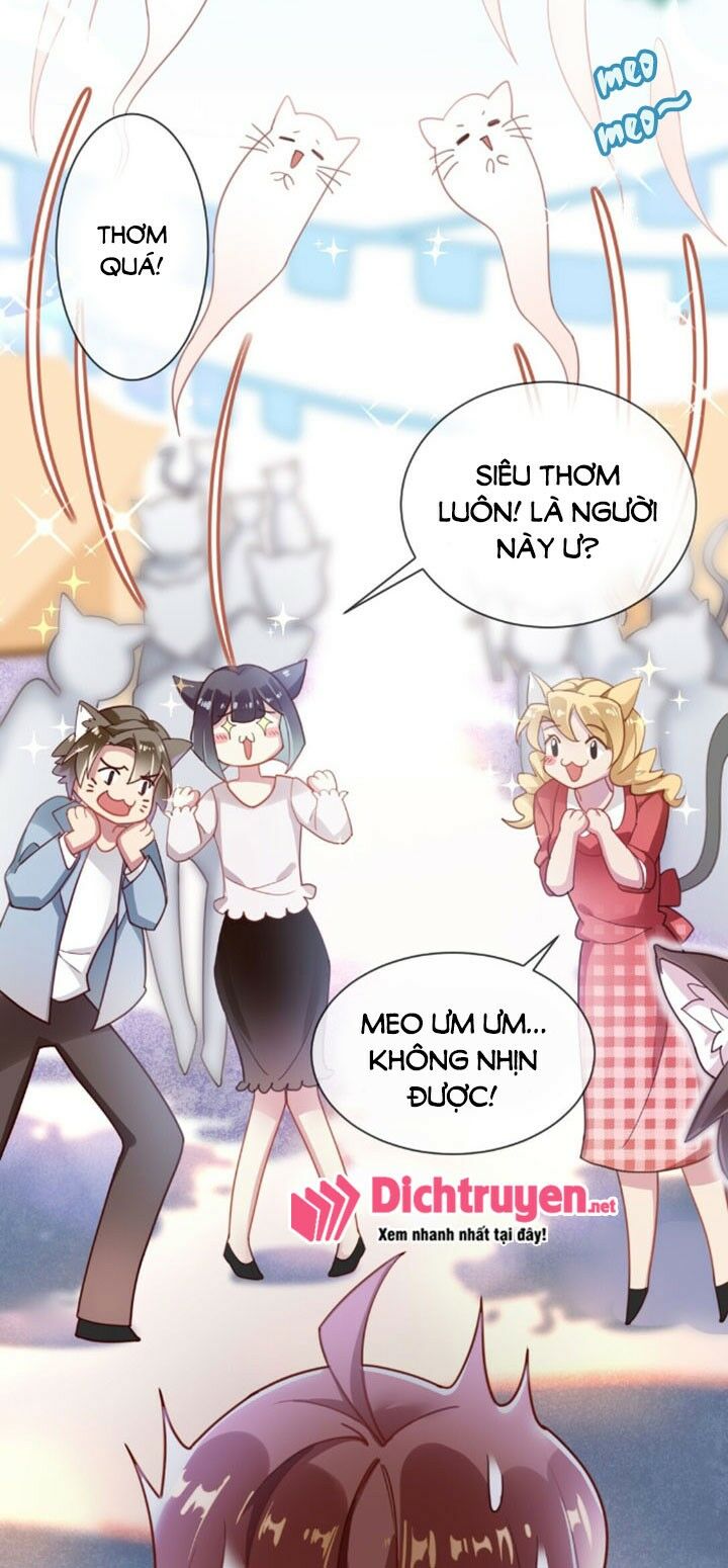 Em là bạc hà mèo của tôi: Chapter 1