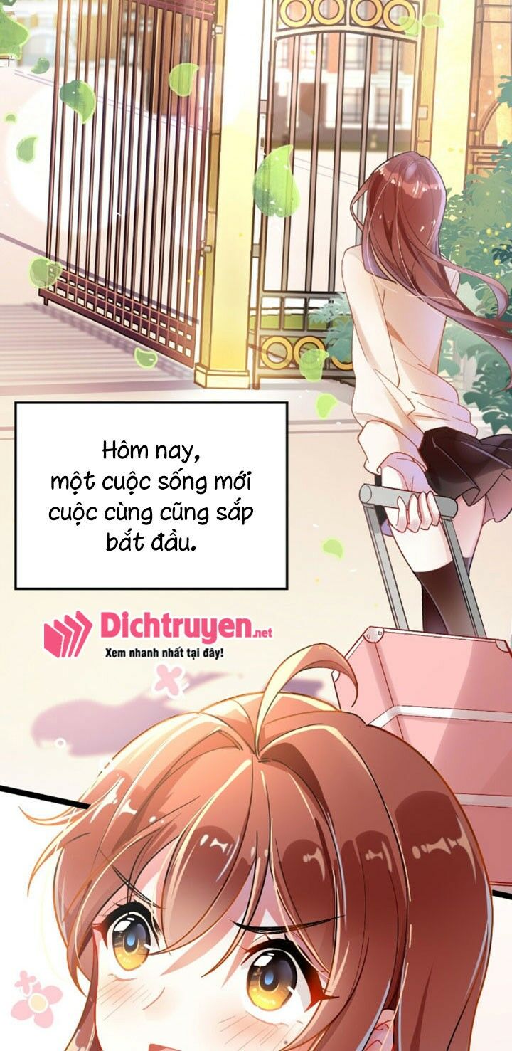 Em là bạc hà mèo của tôi: Chapter 1