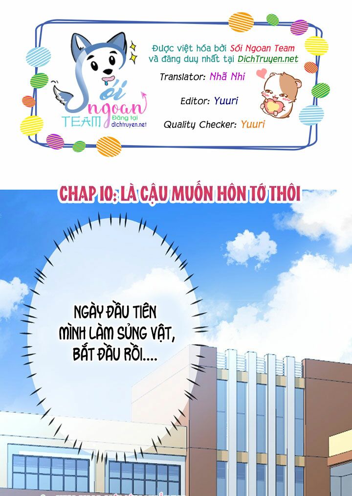 Em là bạc hà mèo của tôi: Chapter 10
