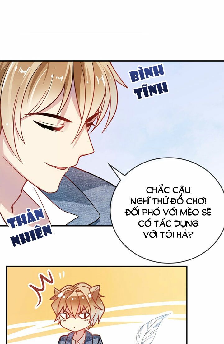 Em là bạc hà mèo của tôi: Chapter 10