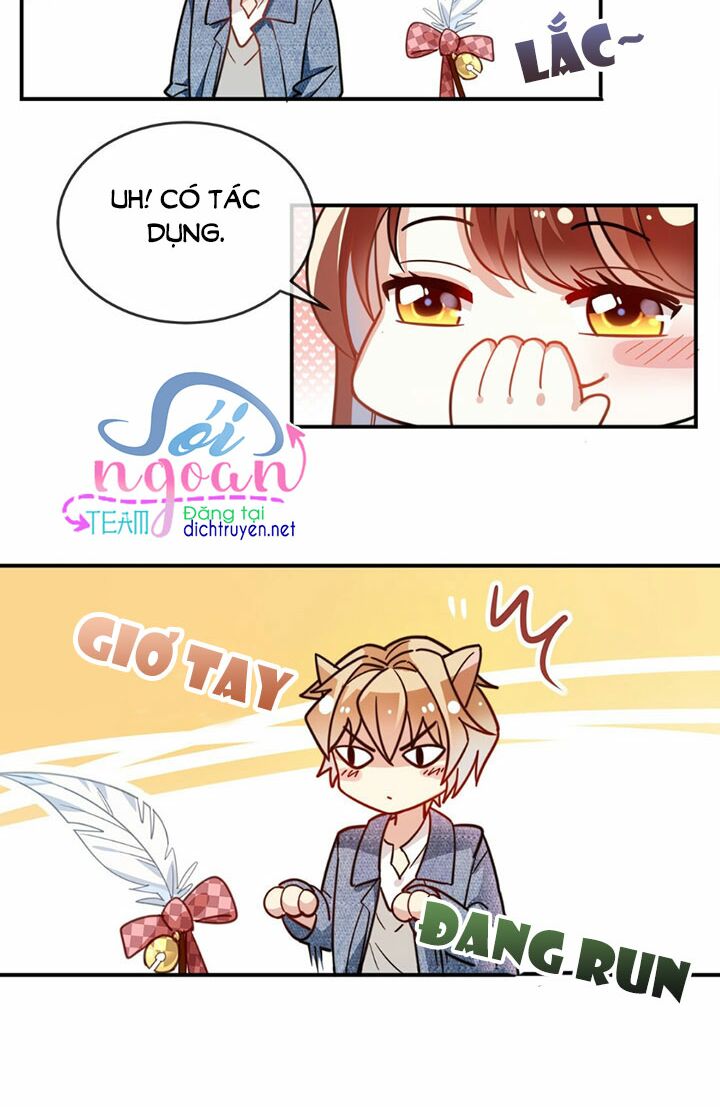 Em là bạc hà mèo của tôi: Chapter 10